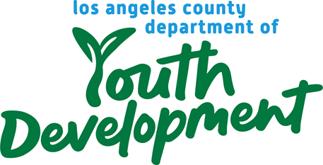 Final DYD Logo_Primary_2_Color_30x30_signature (002).png